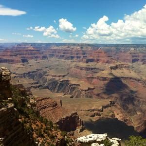 Meet your Posher, Henry